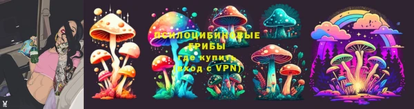 дурь Алзамай