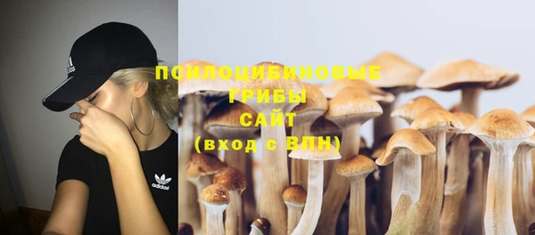 дурь Алзамай